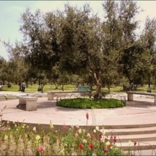 Фотография мини отеля B&B El Olivar