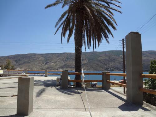 Фотография гостевого дома Palm Beach House