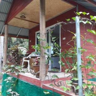 Фотографии гостевого дома
Pink Kangaroo Bungalows