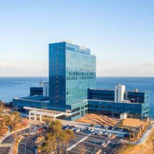 Фотография гостиницы Hotel Tops 10