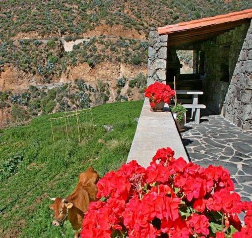 Фотография гостевого дома Casa rural El Coronel