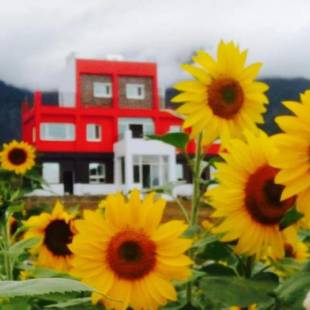 Фотографии мини отеля
The Song of Eagle