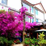 Фотография хостела International Youth Hostel Lijiang
