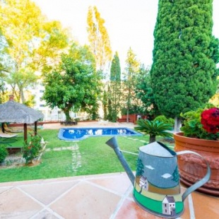 Фотография мини отеля Casa Paraíso Boutique B&B