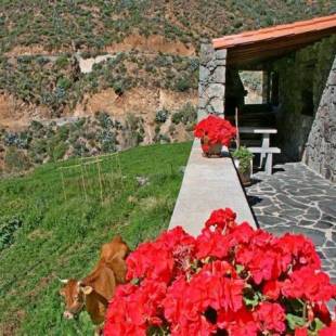 Фотографии гостевого дома 
            Casa rural El Coronel