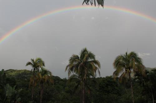 Фотография гостиницы Hotel spa Excalibur