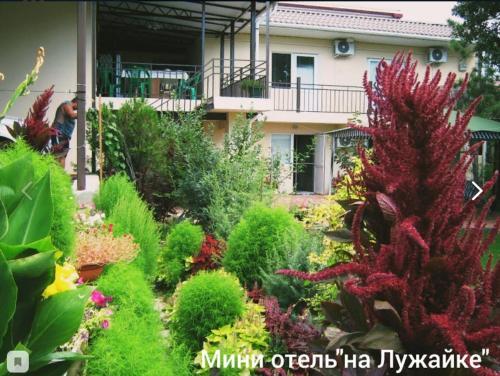 Фотография мини отеля На лужайке