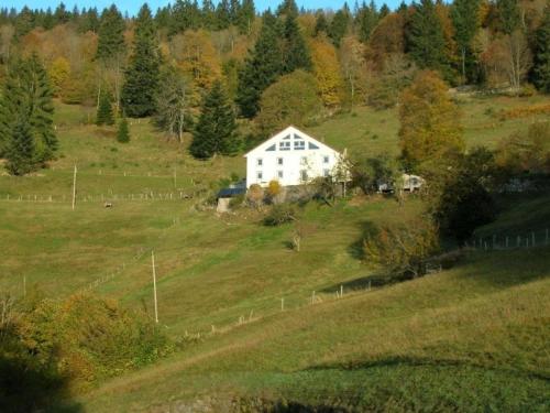 Фотография гостевого дома Gîte Cornimont, 3 pièces, 4 personnes - FR-1-589-84