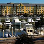 Фотография гостиницы SpringHill Suites by Marriott Charleston Riverview