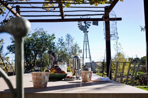 Фотография гостевого дома Olive Grove House