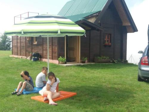 Фотография гостевого дома Vikendica RANKOVIĆI