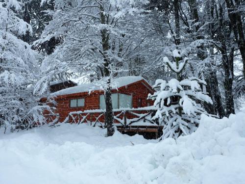 Фотография гостевого дома Cabañas Alto Lonquimay