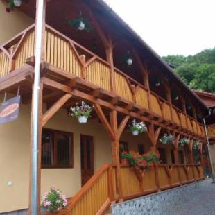 Фотографии гостевого дома
Pensiunea Elisabeta