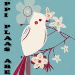 Фотография гостевого дома Oppi Plaas