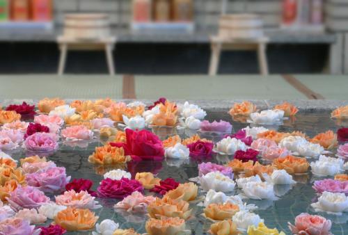 Фотография мини отеля Kisoya