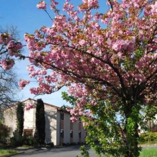 Фотографии гостиницы
Hotel du Lac