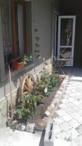 Фотография гостевого дома Маруся