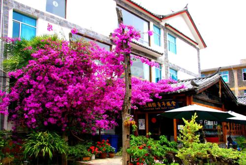 Фотография хостела International Youth Hostel Lijiang