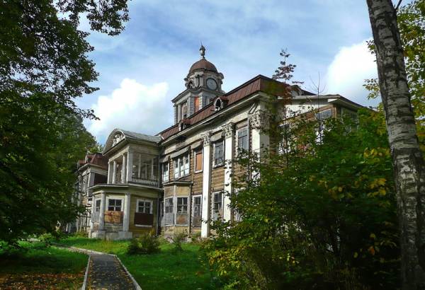 Фотография памятника архитектуры Усадьба Виноградово