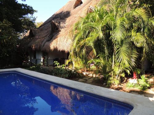 Фотография мини отеля Bed & Breakfast Casaejido