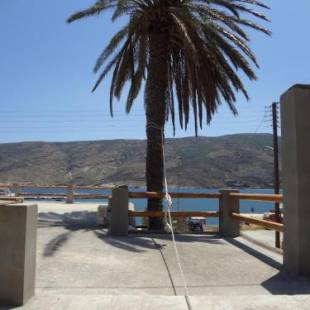 Фотографии гостевого дома 
            Palm Beach House