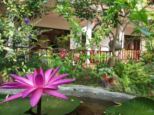 Фотография мини отеля Heaven in Satinwoods