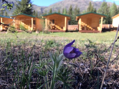 Фотографии кемпинга
Зеленый Колобок