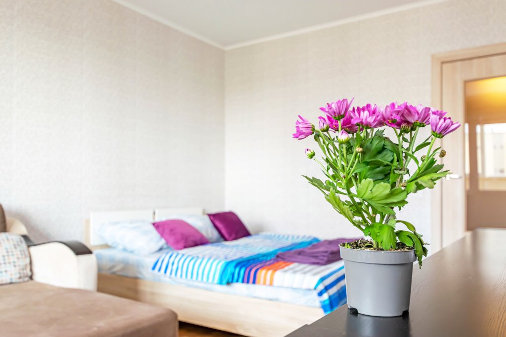 Фотография квартиры Апартаменты Сладких Снов на Комбайнеров 39Б