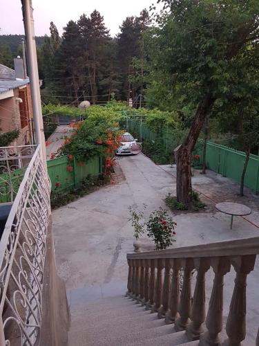 Фотографии мини отеля
Surami Hotel