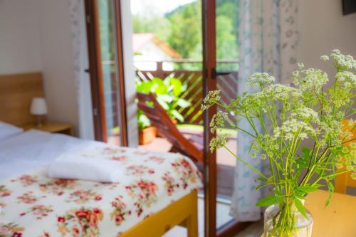 Фотографии мини отеля
Hillton Jawornik