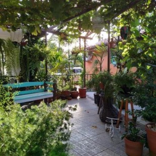 Фотография мини отеля Recanto Toca das Plantas de Ilhabela I