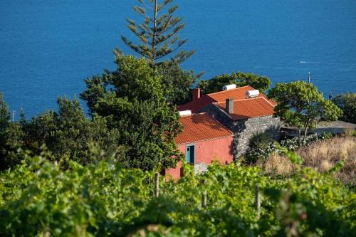 Фотография гостевого дома Quinta das Vinhas