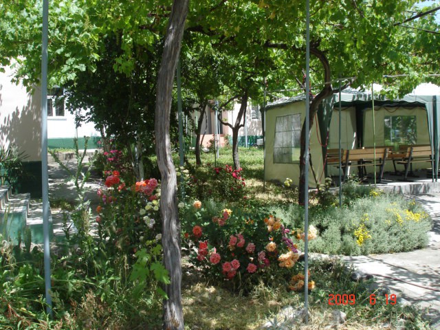 Фотография мини отеля Baby-Lux