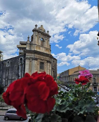 Фотография гостиницы Hotel Valentino