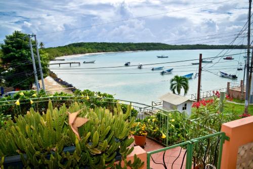 Фотография гостевого дома The Seaside Garden Guesthouse