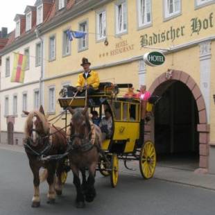 Фотографии гостиницы
Badischer Hof