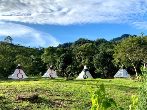Фотография базы отдыха Refugio Del Bosque Glamping