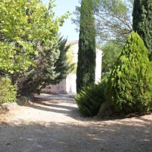 Фотографии гостевого дома 
            mas bomure