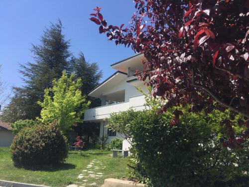 Фотография мини отеля Gianmaria B&B