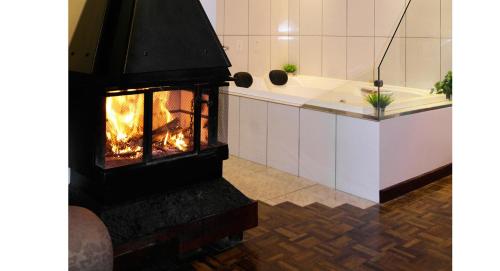 Фотография гостиницы Hotel Pousada das Araucarias