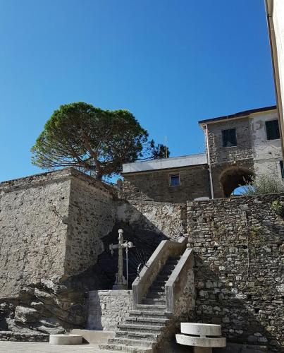 Фотография гостевого дома Affittacamere Il Timone