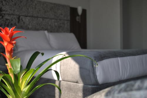 Фотография гостиницы Hotel Ocean