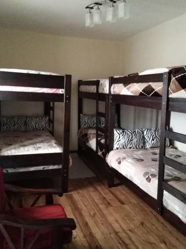 Фотография хостела Secret Garden