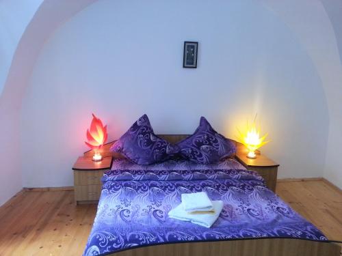 Фотография гостевого дома Casa Merisor