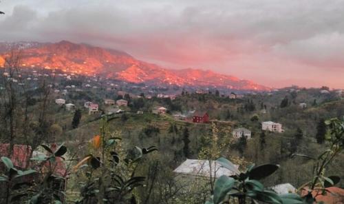 Фотография гостевого дома Guest House Giorgi