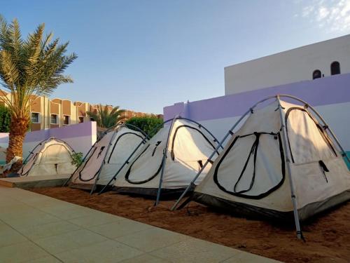 Фотография кемпинга Charlie House El Mashraba