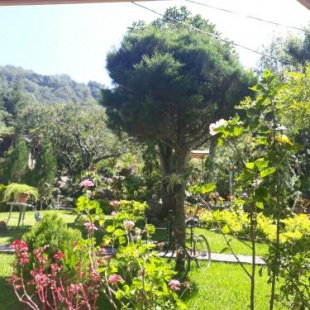 Фотография гостиницы Hotel y Bungalows ecologicos Marcelo