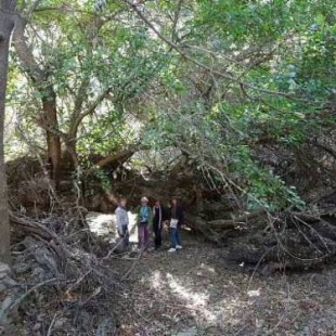 Фотография гостевого дома Yahshigul