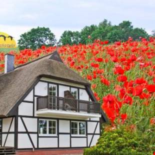 Фотографии гостевого дома
Hof Kranichstein
