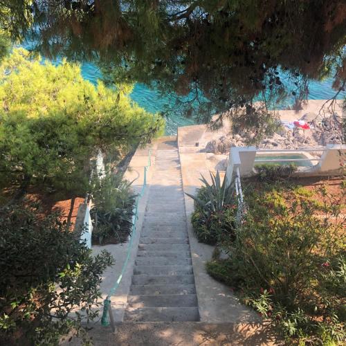 Фотография гостевого дома VillaKorculaStepintheBlue